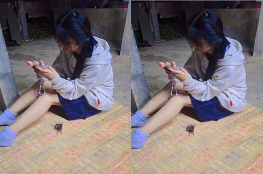 Chơi nhà đêm nào, đè người ra phang đi